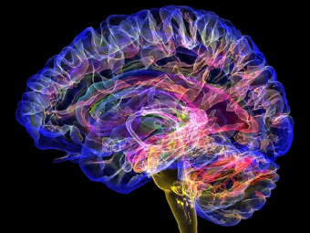 肏小骚逼的肏逼软件大脑植入物有助于严重头部损伤恢复